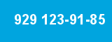 929 123-91-85